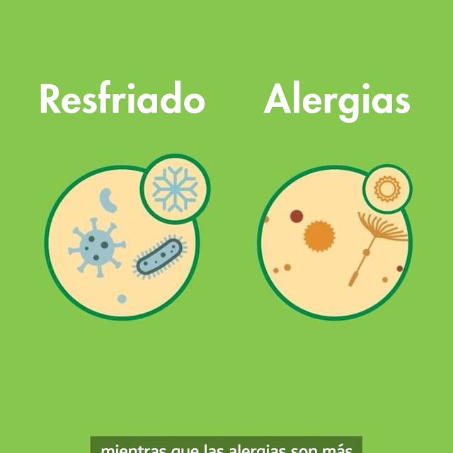 El resfriado común y las alergias